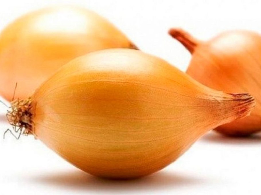 Лук сорт Стурон описание сорта