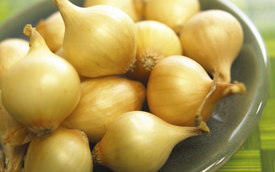 Севок Штутгартер 2 группа