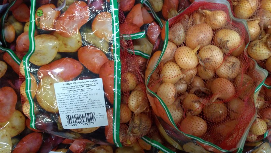 Лук шалот Кубанский желтый