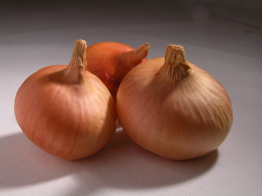 Лук севок Сеншуй