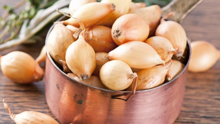 Лук шалот Белозерец-94