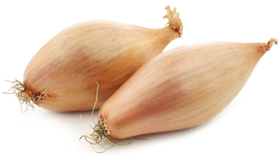 Лук виды и сорта