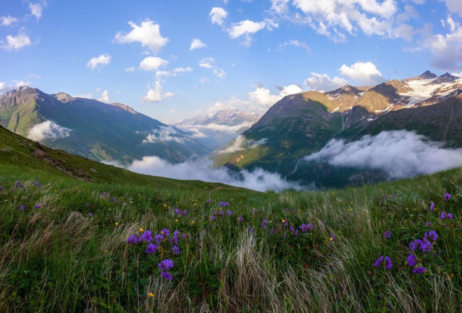 Альпийские Луга Северного Кавказа