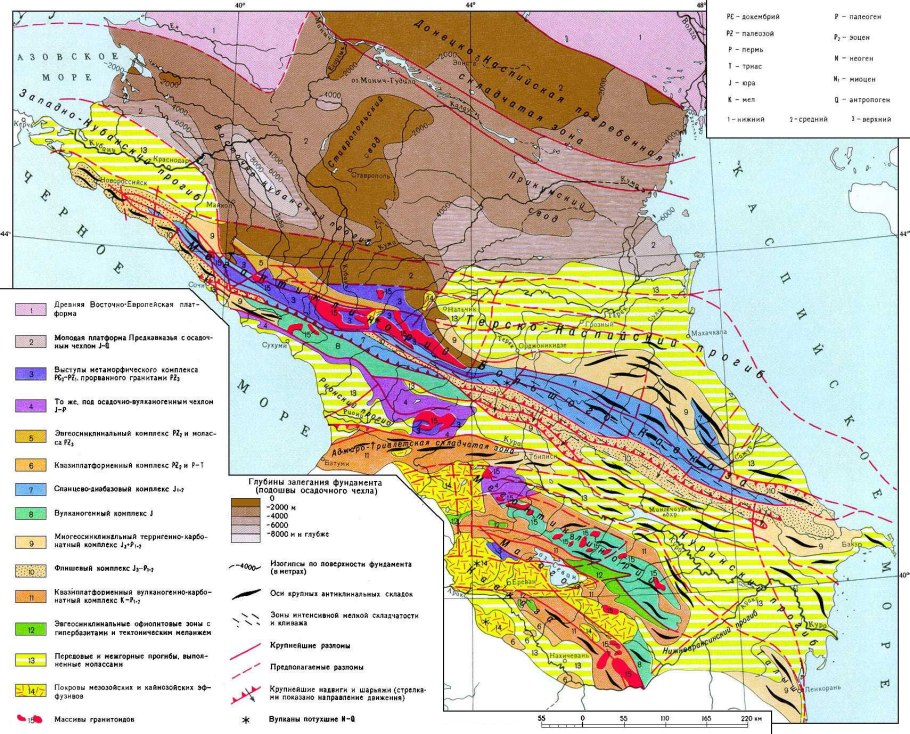 Животный мир высокогорья