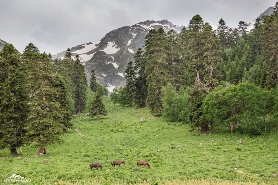 Кабардино-Балкария Приэльбрусье