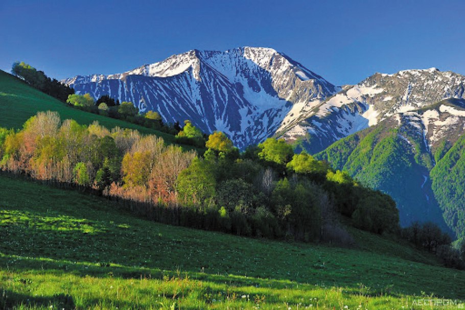 Кавказский заповедник Краснодарского растения