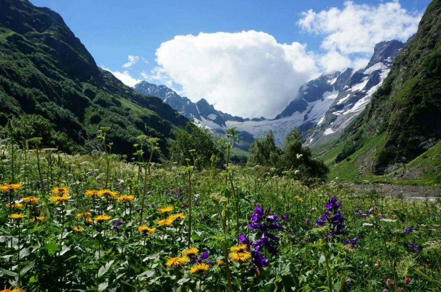 Домбай Альпийские Луга