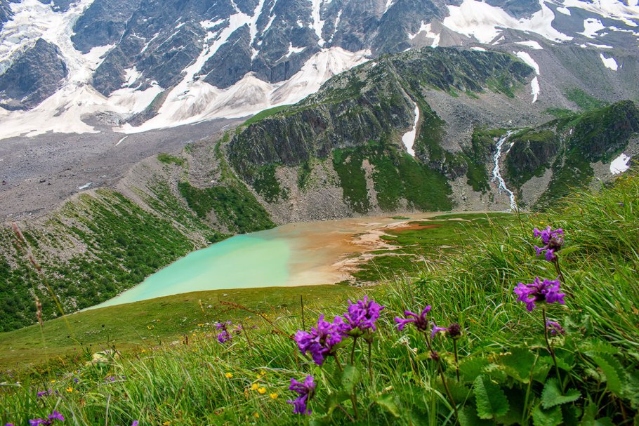 Природа Таджикистана (Флора и фауна)