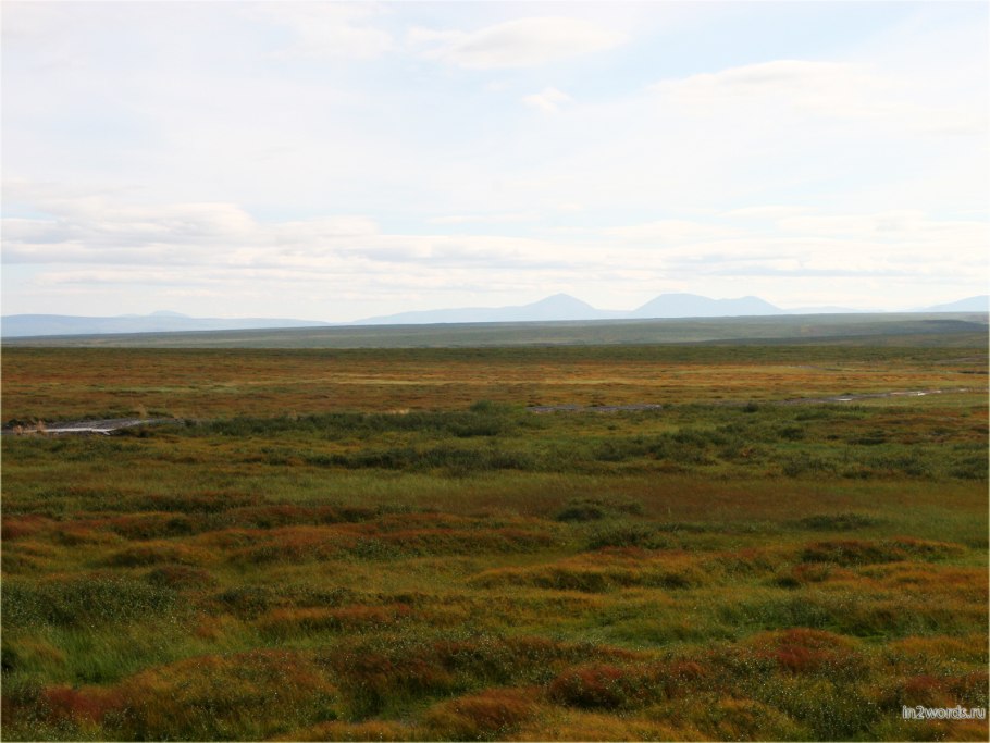 Растительность пустынь и полупустынь в России