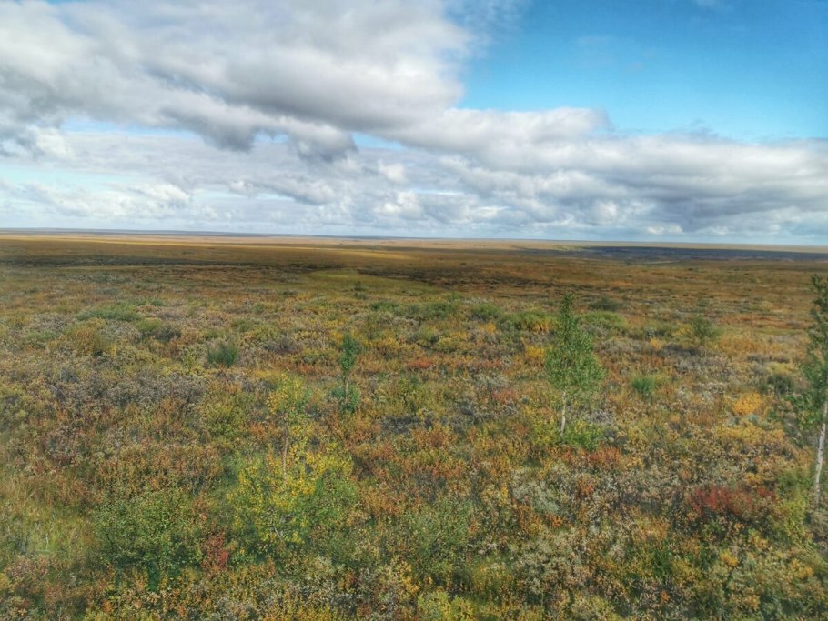 Парк Денали Аляска осень