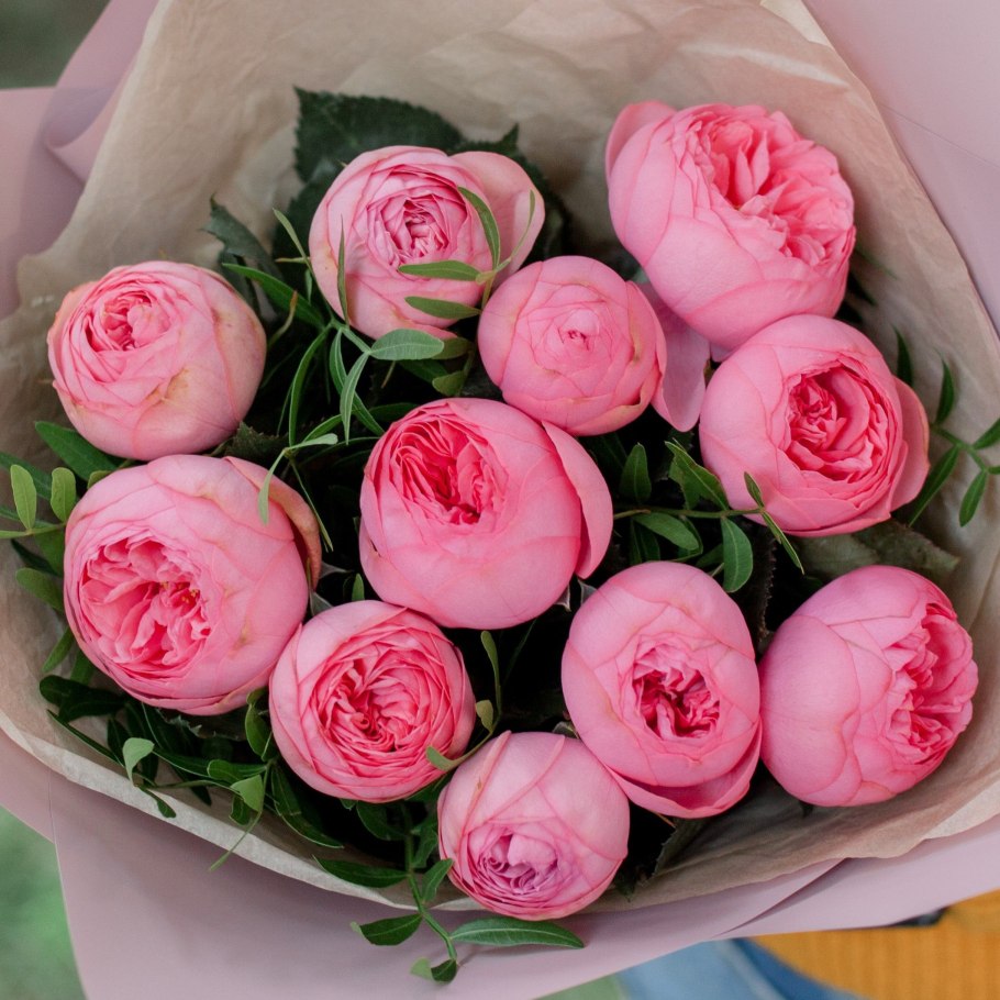 Роза пионовидная вувузела