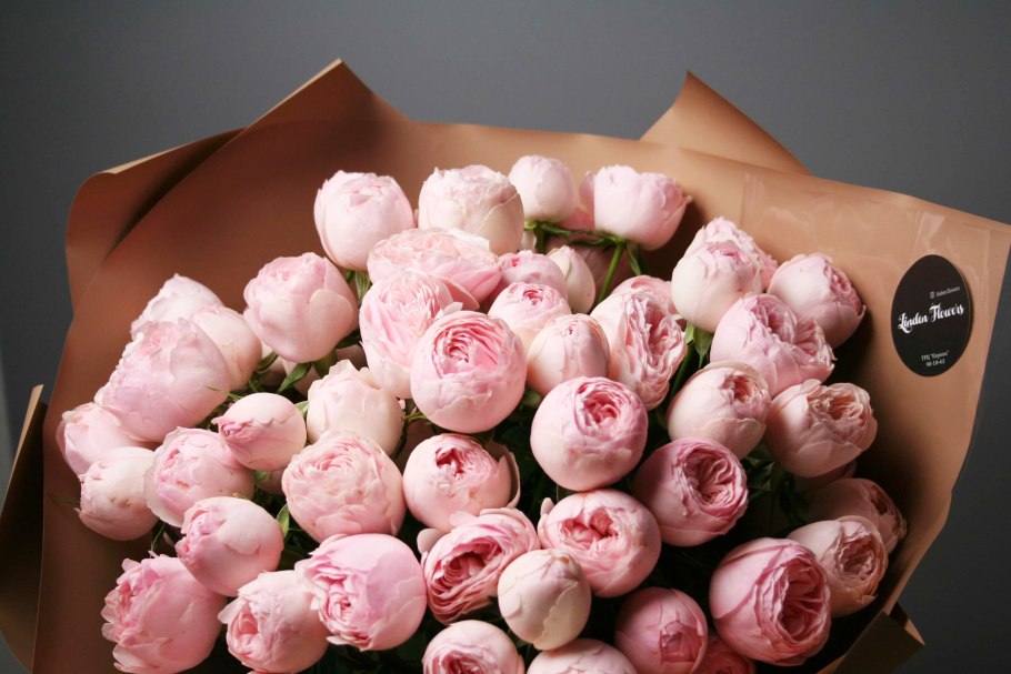 Пионовидная роза Мэнсфилд парк