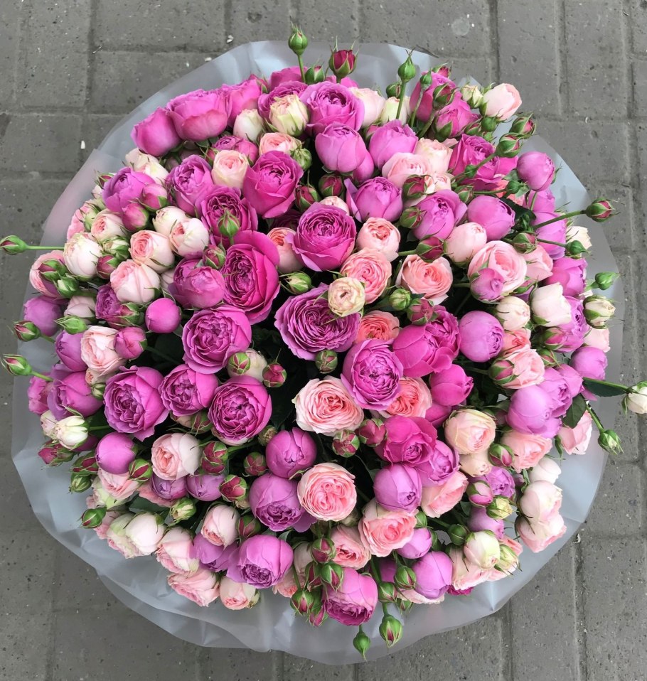 Кустовая пионовидная роза Бомбастик