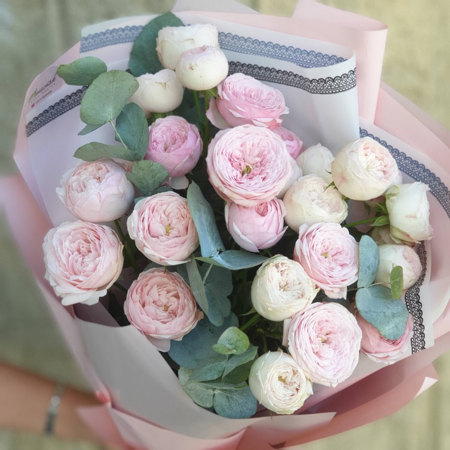 Пионовидная роза Мэнсфилд парк