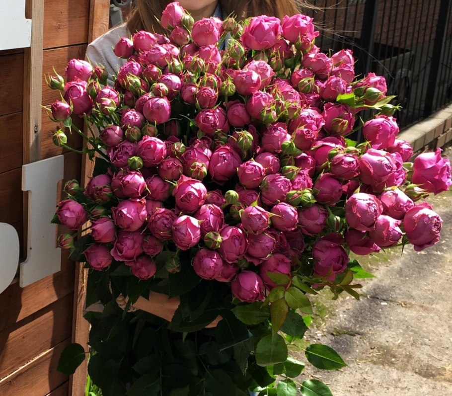 Букет пионовидных роз