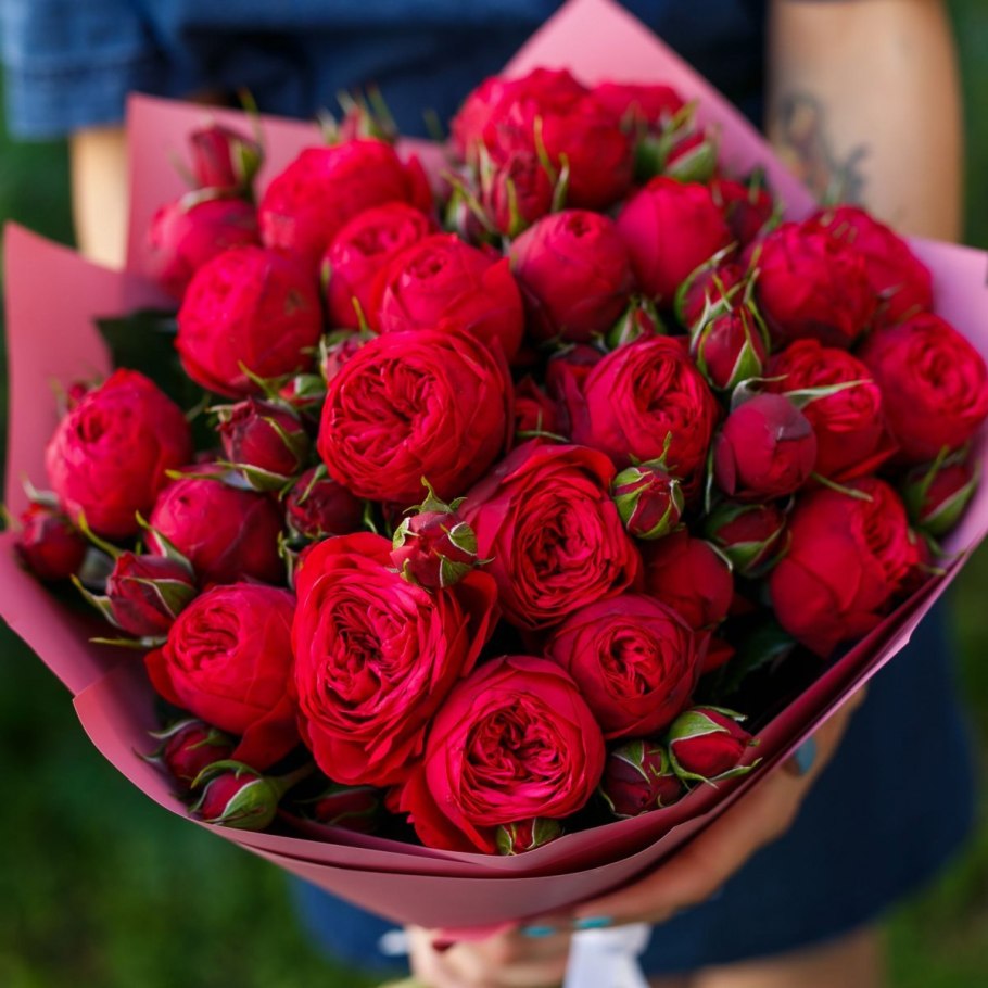 Пионовидная роза Джульетта