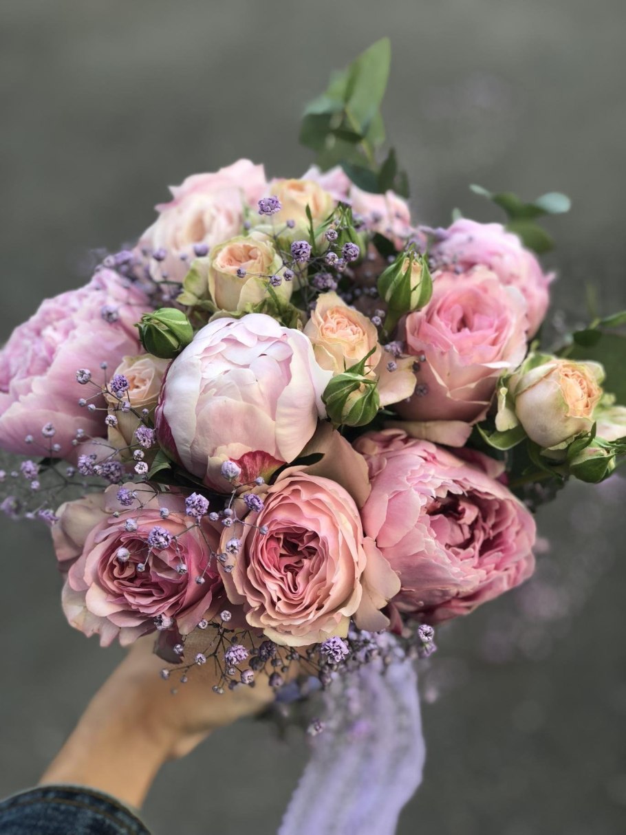 Роза кустовая пионовидная розовая