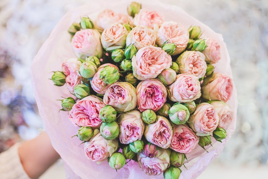 Роза Пич Экспрешн