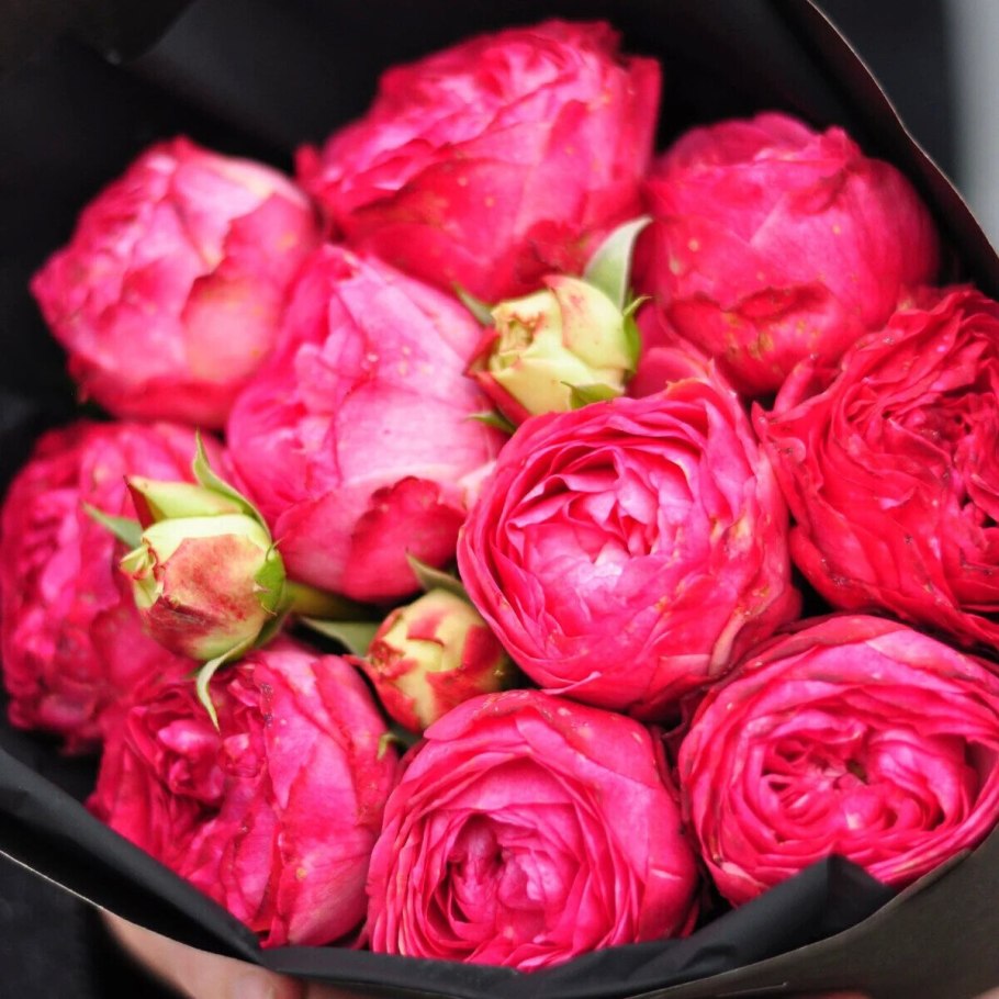 Пионовидная роза