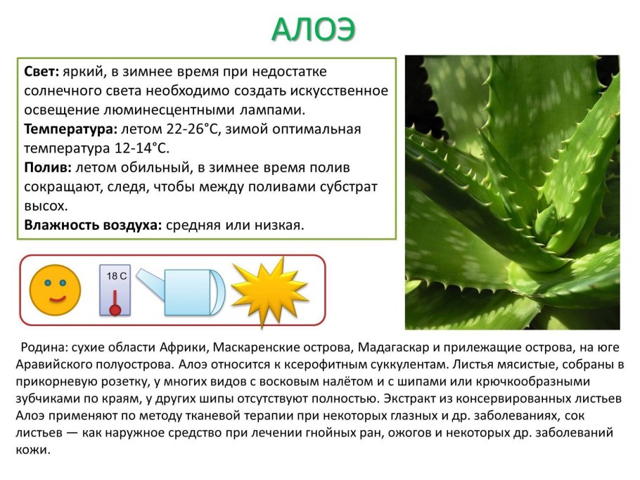 Формула цветка розы