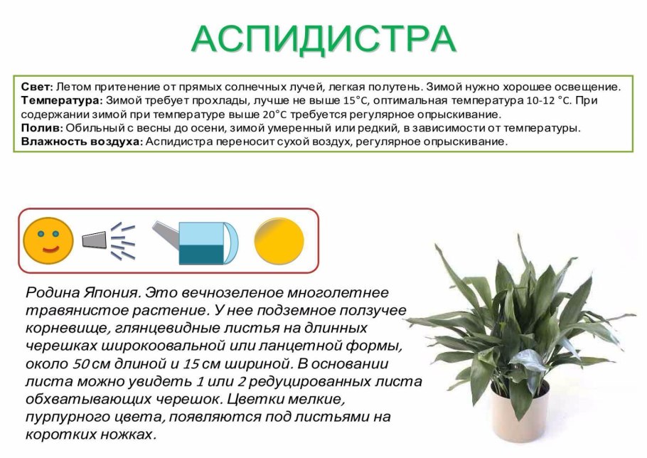 Недостаток и избыток азота у растений