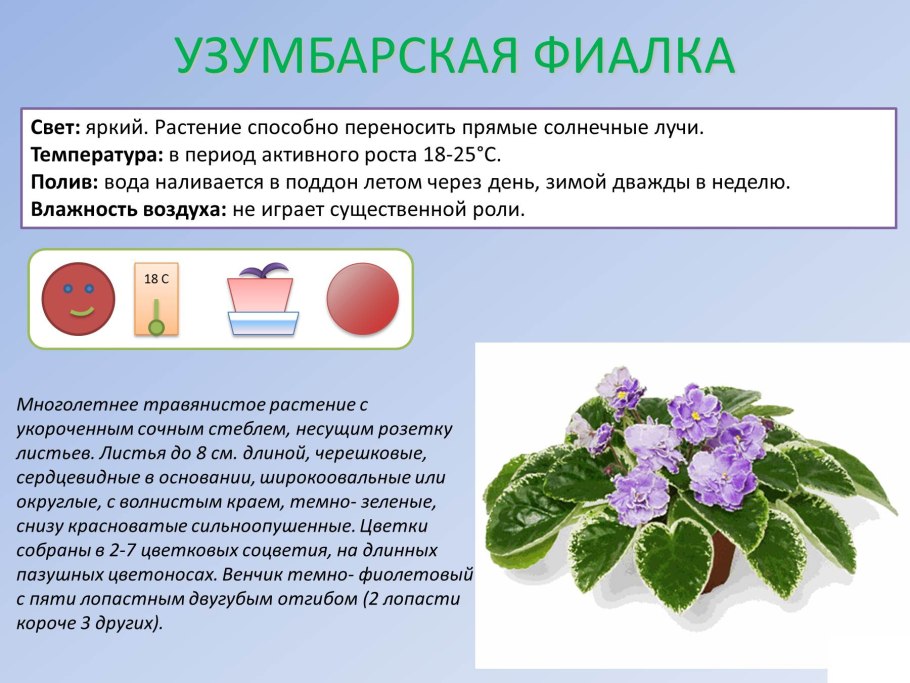 Нехватка питания аквариумных растений