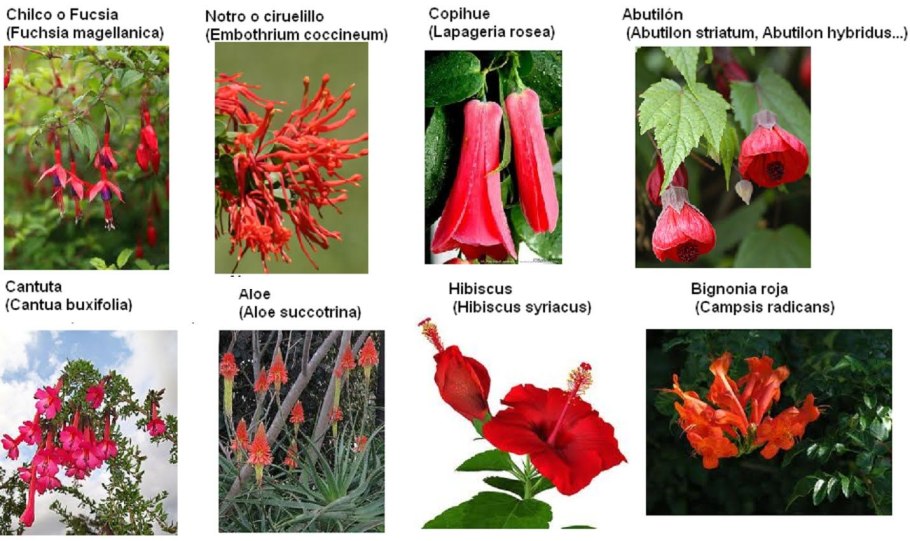 Какие тепловые явления вы знаете физика 8 класса перышкин