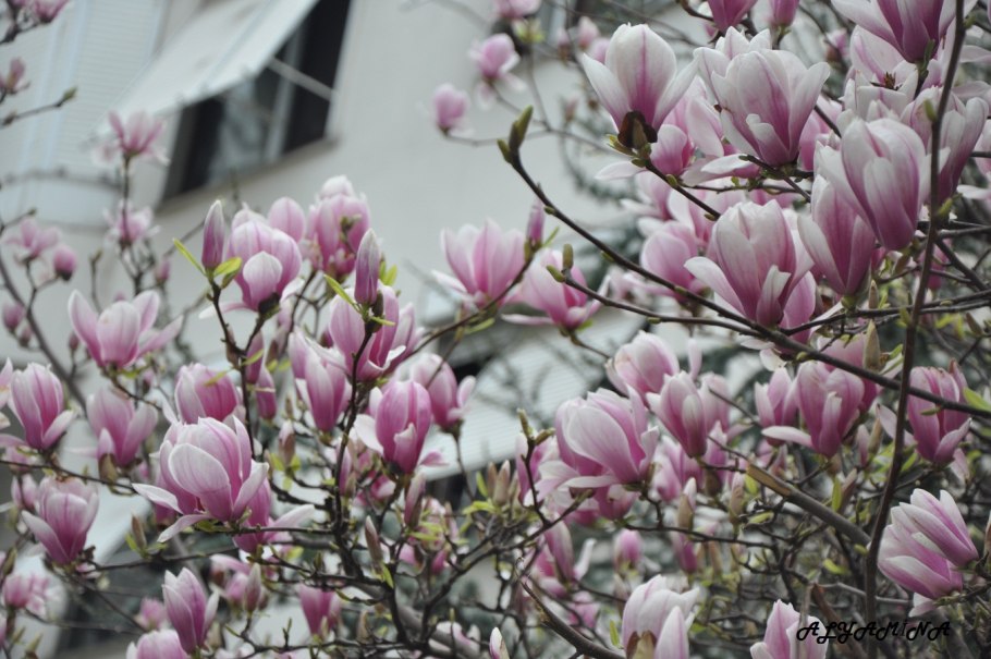 Рамка для картины