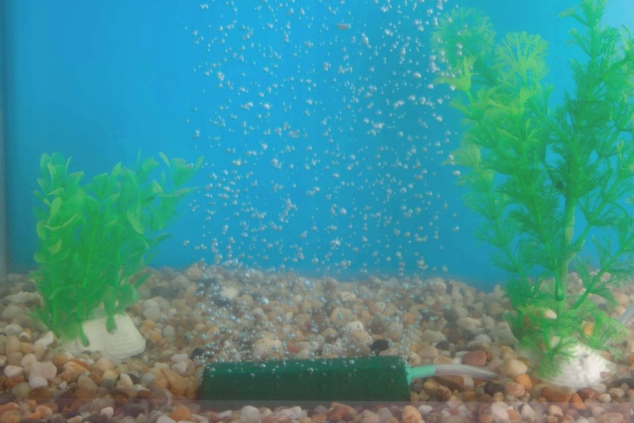 Аэрация на дно аквариума