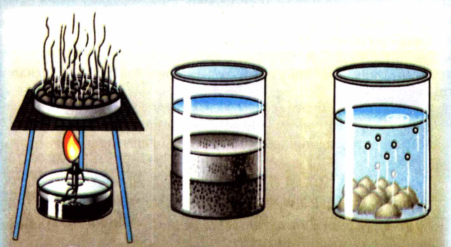 Листья с каплями воды