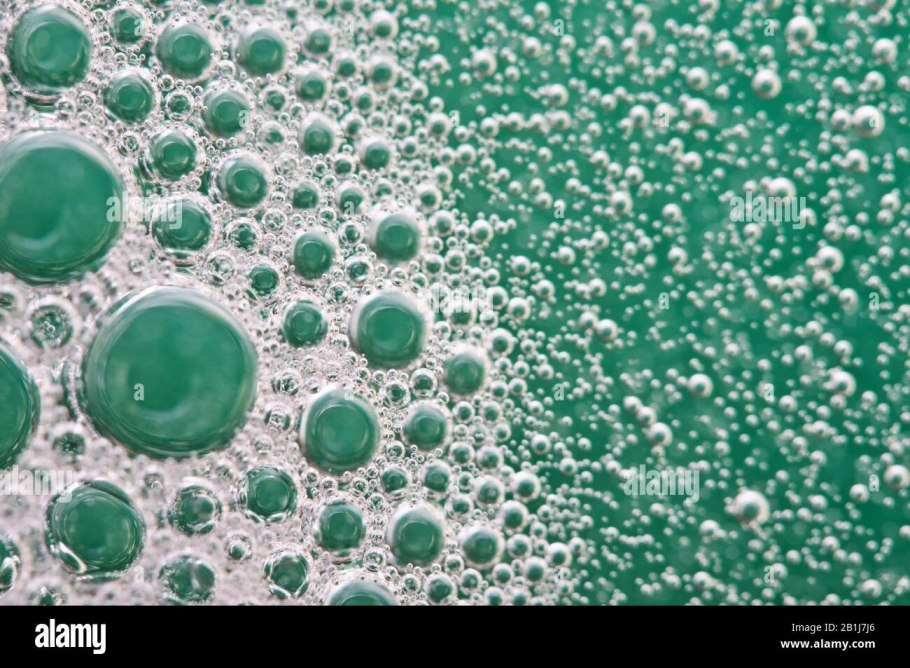 Риччия плавающая рисунок