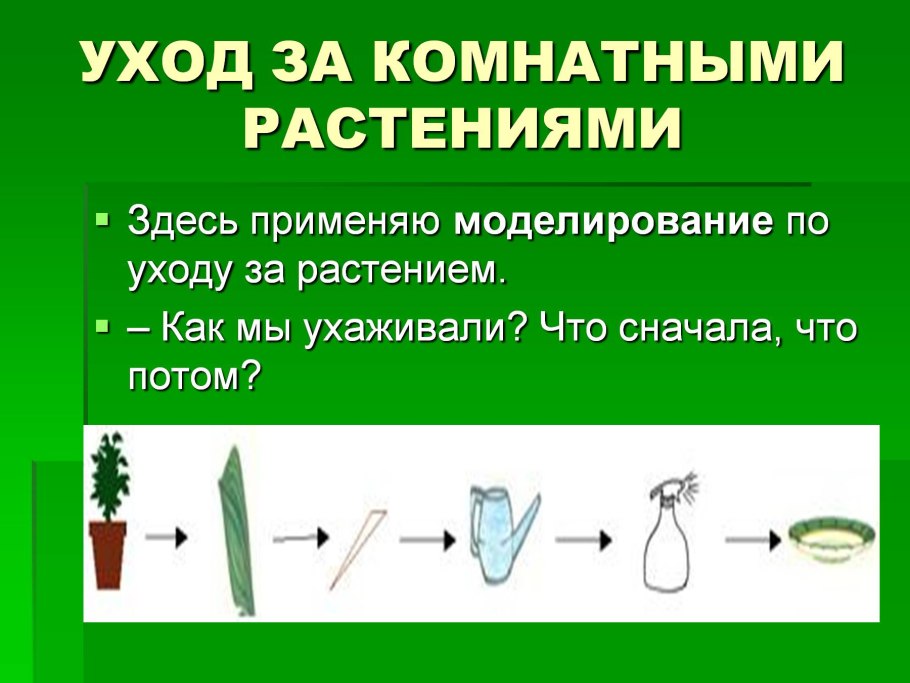 Уход за растениями этапы