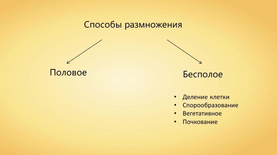 Схема способы размножения растений