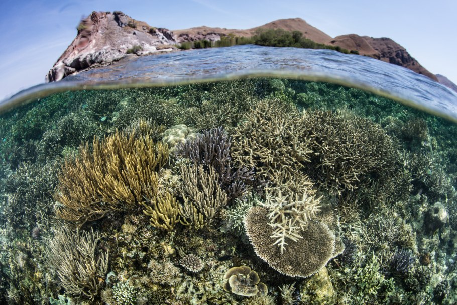 Антарктида пейзаж