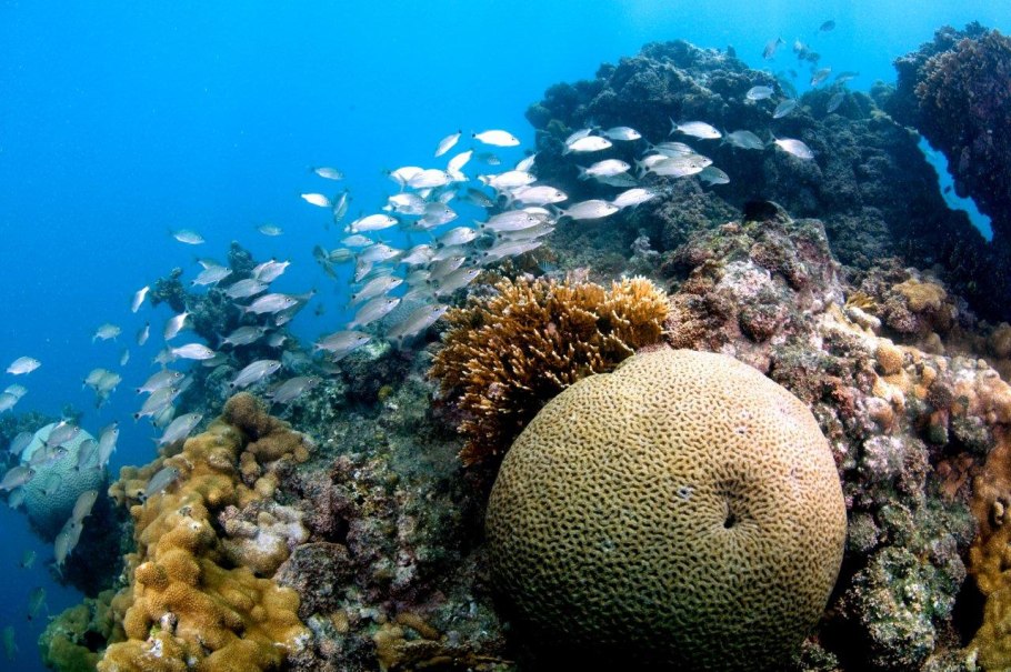 Потепление Антарктиды таяние ледников