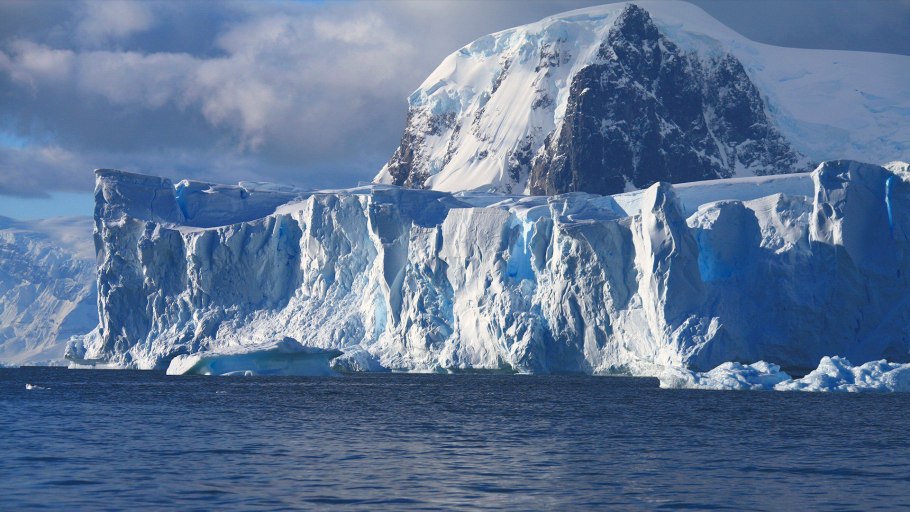 Кораллы Тихого океана