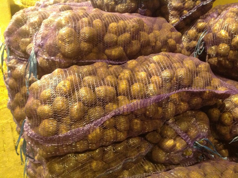 Картофель сорт Крепыш элита