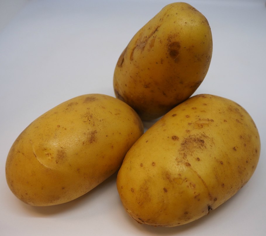 Фото Челябинского картофеля и Невского