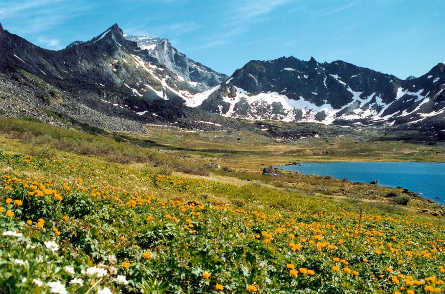 Баргузинский заповедник Альпийские Луга