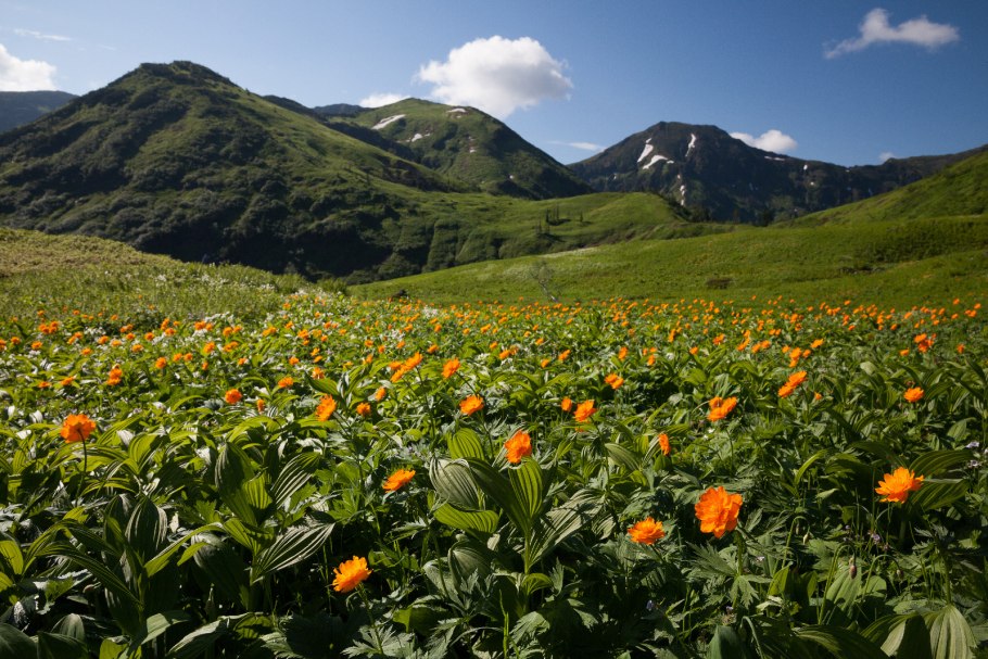 Байкальский биосферный заповедник