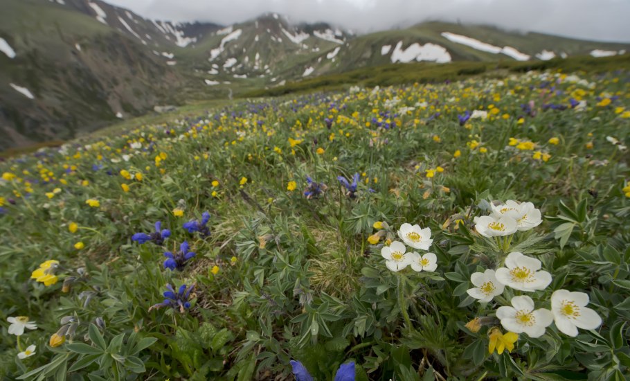 Баргузинский Байкальский заповедник