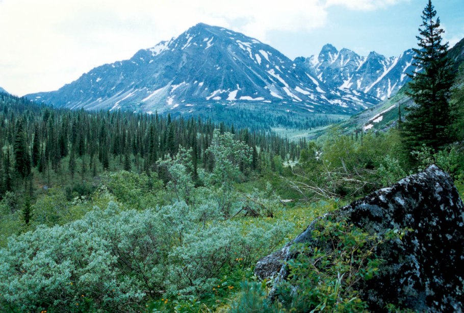 Баргузинский Байкальский заповедник