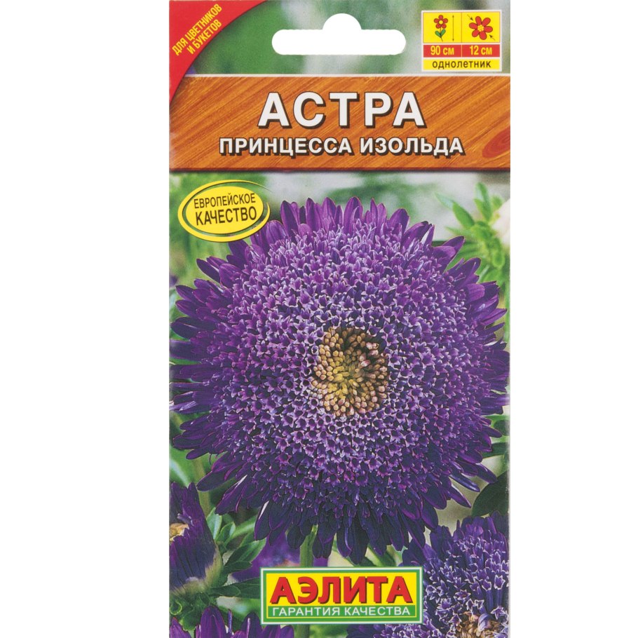 Астры сорта Марина