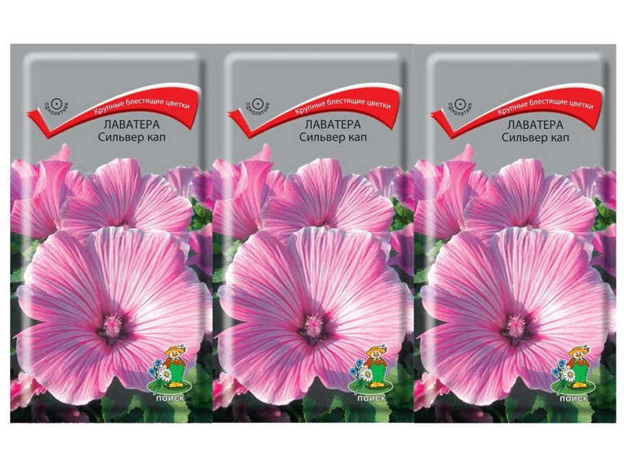 Мальва мускусная ( просвирник)