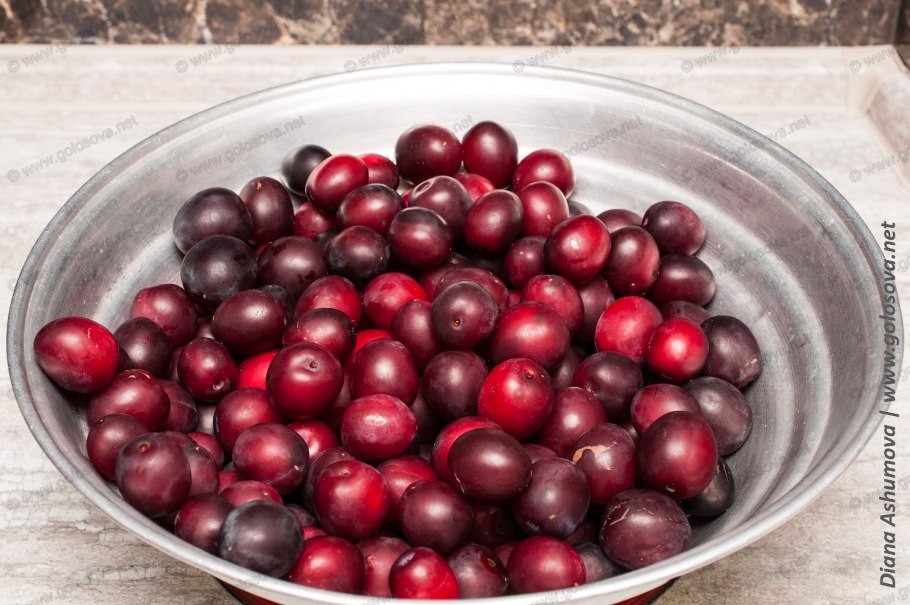 Сливово-вишневый гибрид Опата