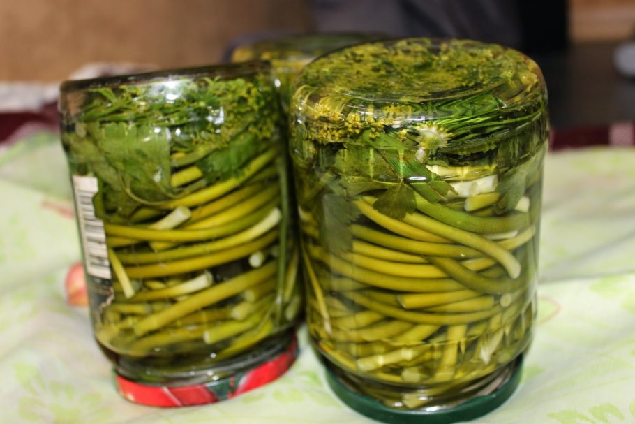 Резак трава армянская