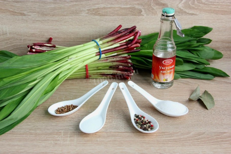 Щавель пучок