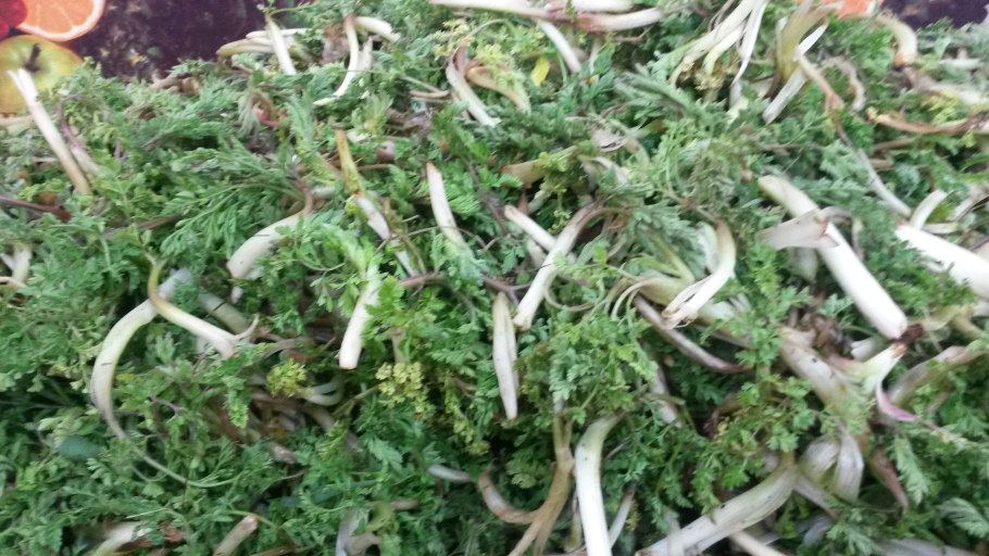 Голубцы в листьях черемши