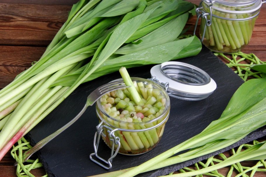 Черемша разносолы