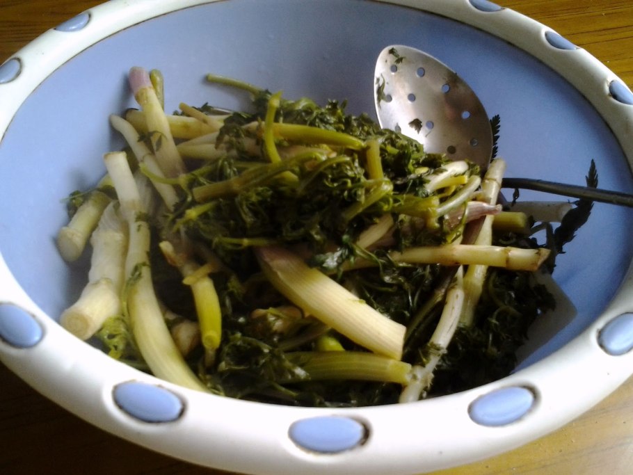 Черемша фиолетовая